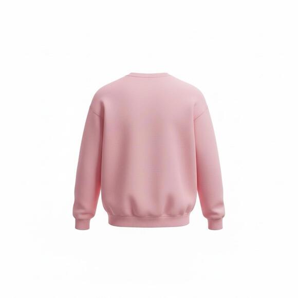 Aerie Pink Crewneck Pullover Sweatshirt Large Drop Shoulder Lightweight Relaxed - Picture 2 of 7